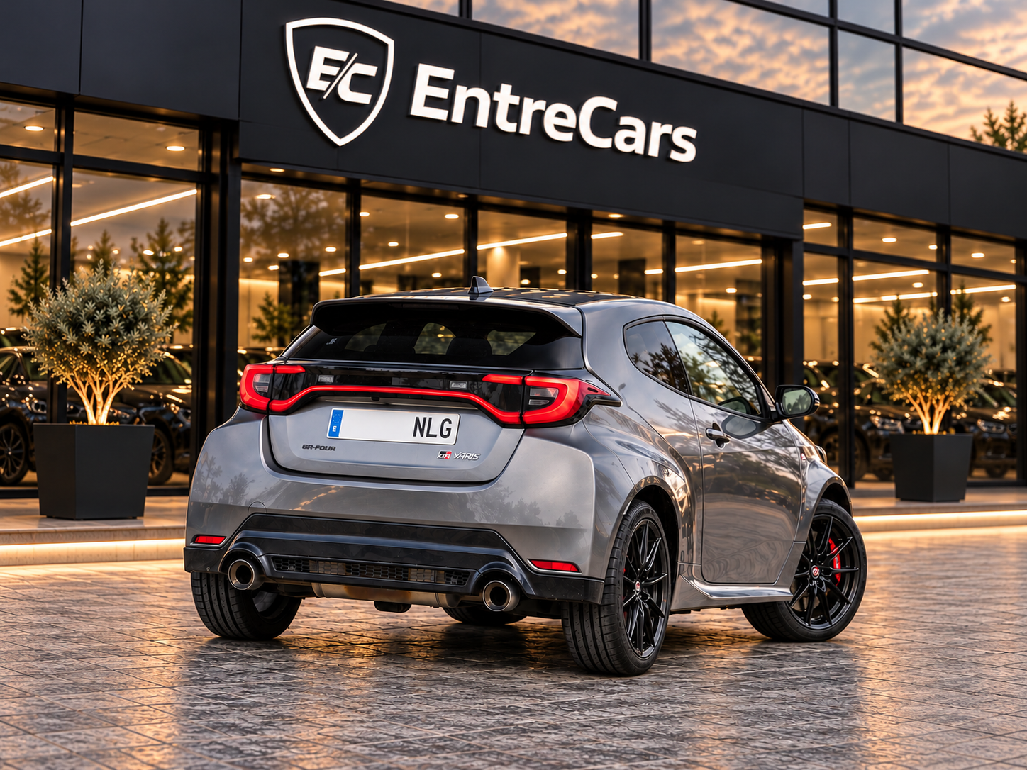 Miniatura 4